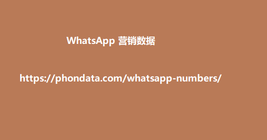 WhatsApp 营销数据